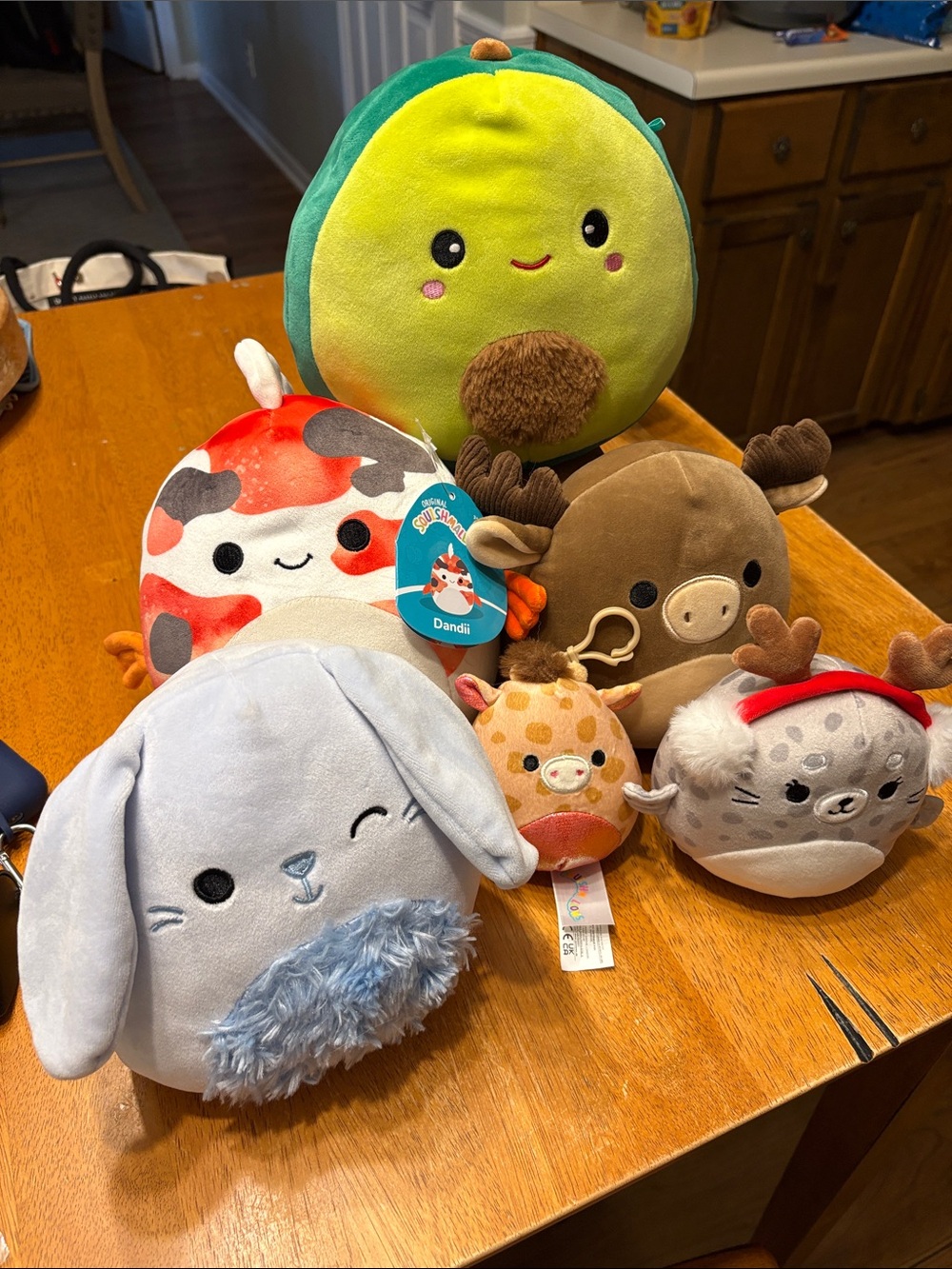 Squishmallows Plush Lot - Green, Red, Brown, Light Blue, Gray, Orange